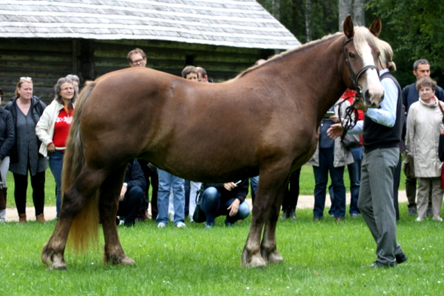 Tõud Eestis