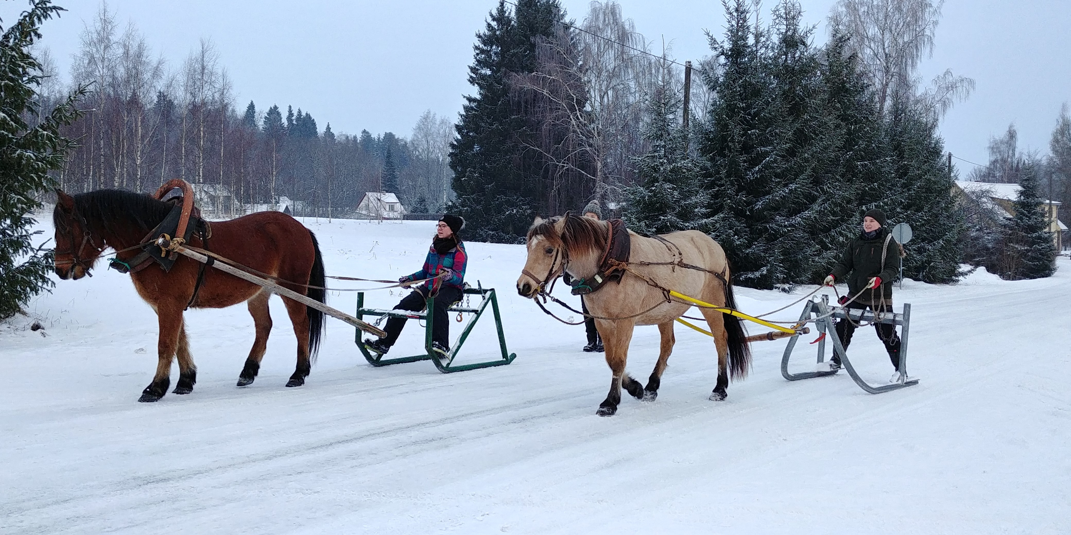 metsatöö pilt jaanuar23