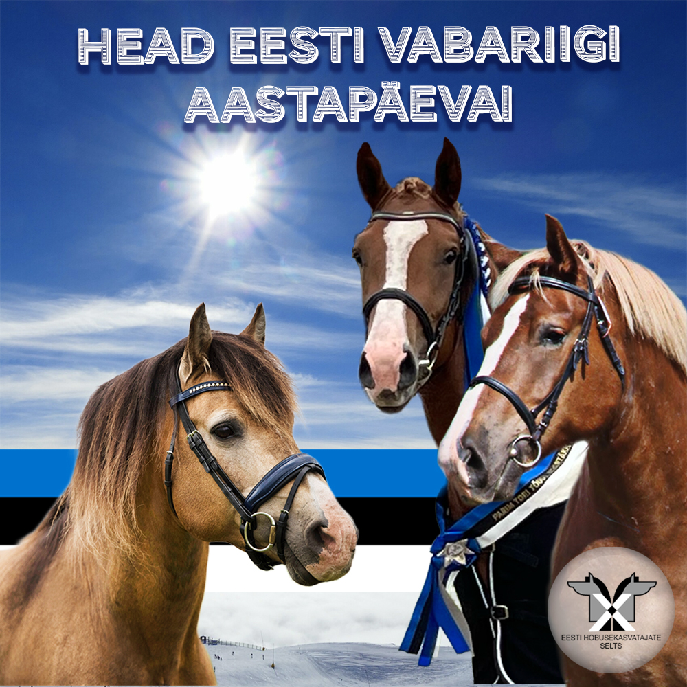 Head vabariigi aastapäeva 2024