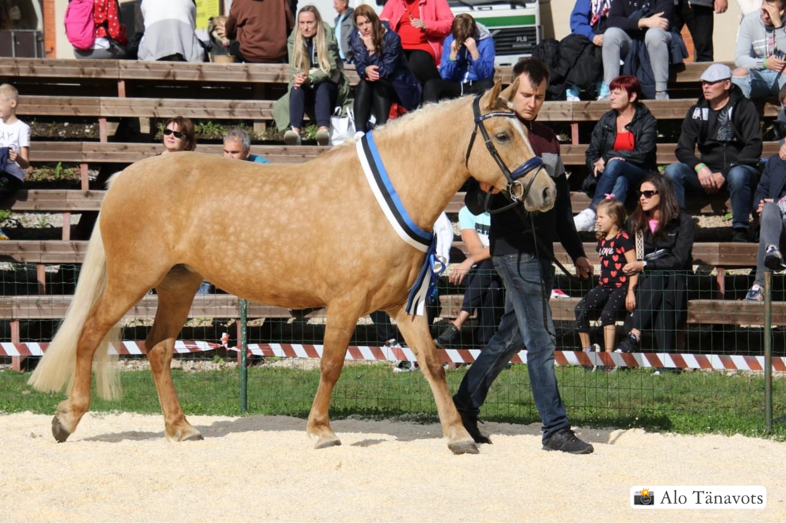 Kauro Vahtras ja Tessera Tõuloom 2023