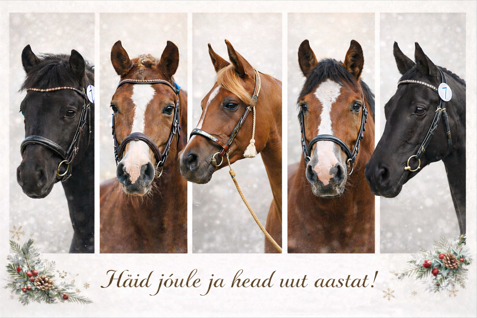 Pühade tervitus 2025