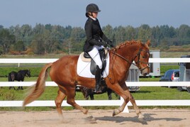 Maarja Malm - Raudne