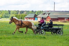 Luune ja Karina Öösalu traav