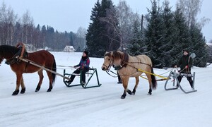 metsatöö pilt jaanuar23