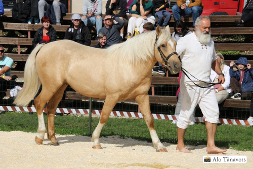 Boris Razumov ja Vurr Tõuloom 2023