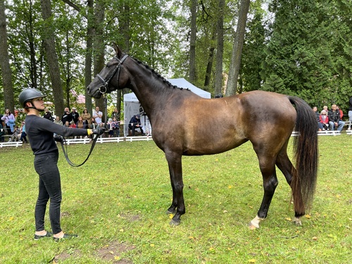 Kristi Kõva ja Polyfonia Tõuloom 2023