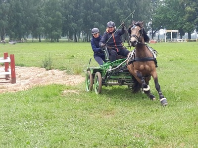 Olustvere Riina Rõa ja ROMULUS