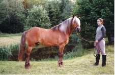 Rotser 742 E